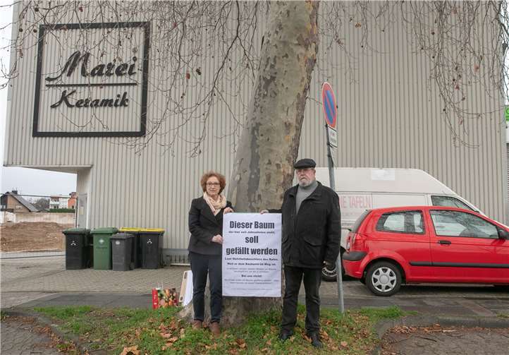 Vor der Platane in Rheinbach an der Majolika-Fabrik demonstrierten Urte Seiffert und Winfried Weigartz für den Erhalt des 40 Jahre alten Baumes, was nun vom Stadtrat bestätigt wurde. Foto: JOST
