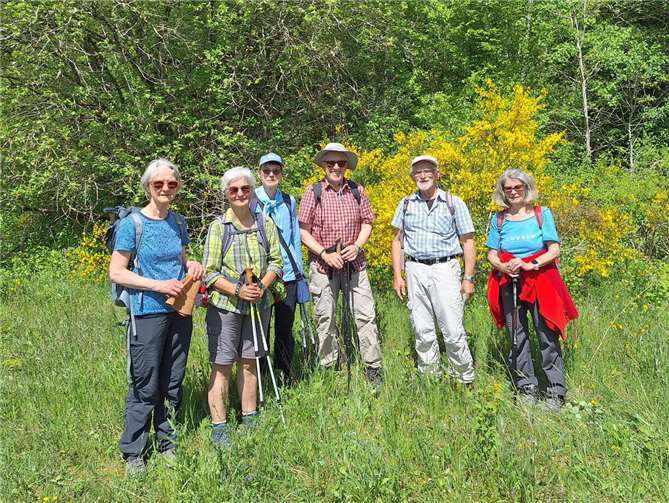Vor einem blühenden Ginster an der Hannebacher Ley. Foto: Alfred Pohl