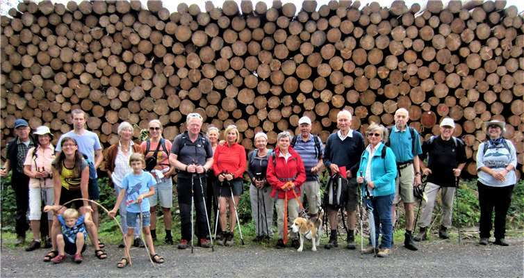 Vor einer Wand von Borkenkäferopfern. Foto: Wolfhart von Stackelberg