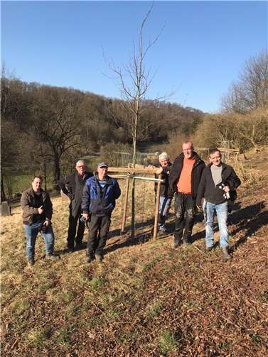 Aktion Judenfriedhof Vor kurzem wurden drei Blutbuchen auf dem Gelände des Judenfriedhofs gepflanzt. Foto: privat