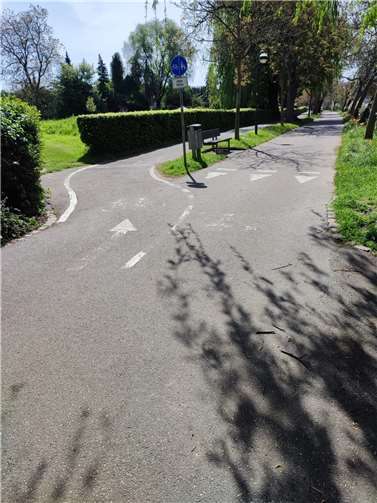 Vorher: BürgerInnen waren besorgt über abgefahrene Wegemarkierungen.  Fotos: AGL Lahnstein