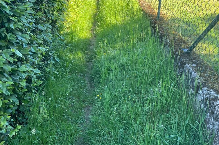Vorher und nachher der Verbindungsweg oberhalb des Alten Friedhofes. Der Weg wurde hergerichtet und ist nun mit Schotter befestigt.