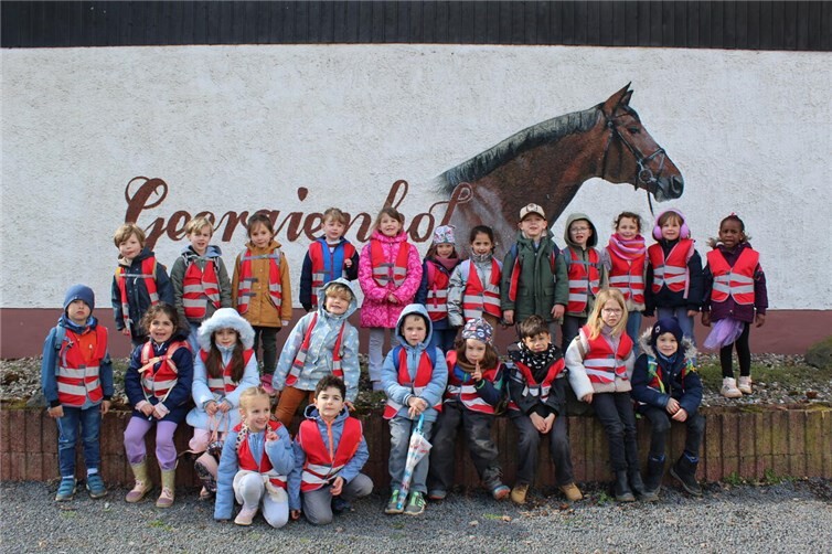 Vorschulkinder der kath. Kita in Kripp besuchten Reitstall Georgienhof
