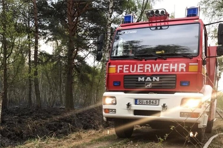 Vorsicht im Wald: So lassen sich Brände vermeiden.