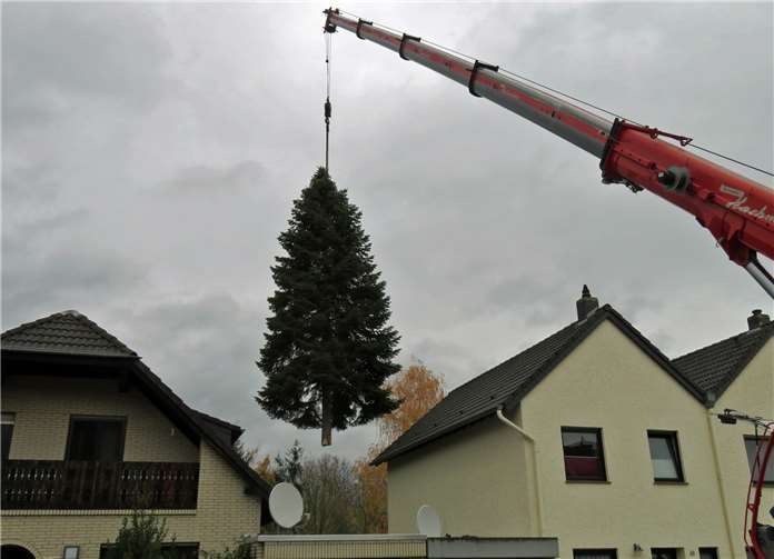 Vorsichtig hievt der Autokran den Baum über die Garagen.