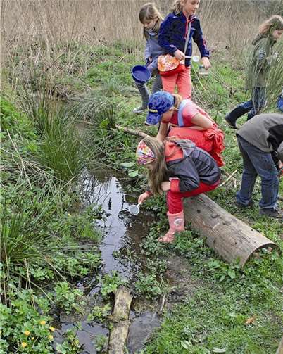 Vorsichtig werden ein paar Wasserbewohner mit Sieben gefangen.