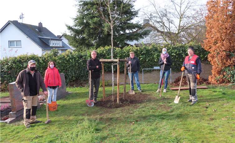 Vorstandsmitarbeiter und Mitglieder des Obst- und Gartenbauvereins bei der diesjährigen Baumpflanzaktion auf dem Friedhof. Foto: Ortsgemeinde Ochtendung