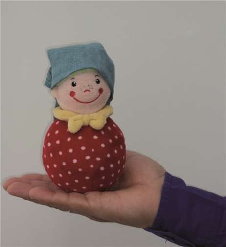 Vortrag zum Thema „Der Steh-Auf-Männchen-Effekt“.privat