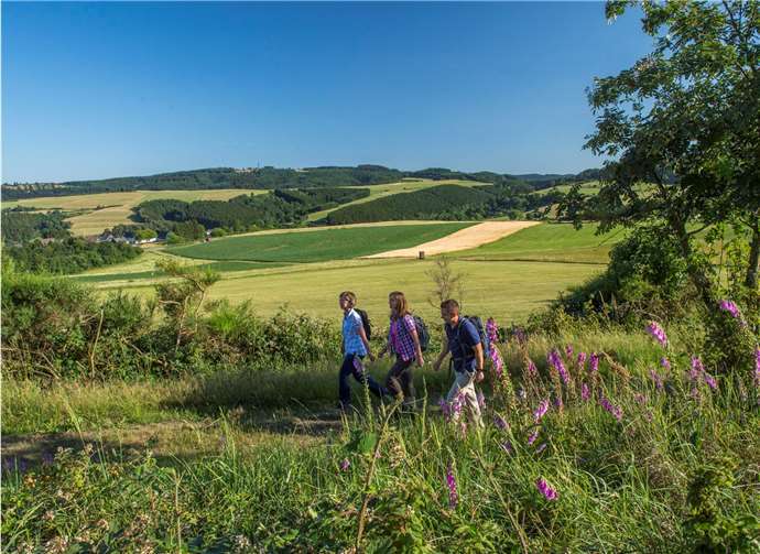 Vulkanregion Laacher See, Kappest