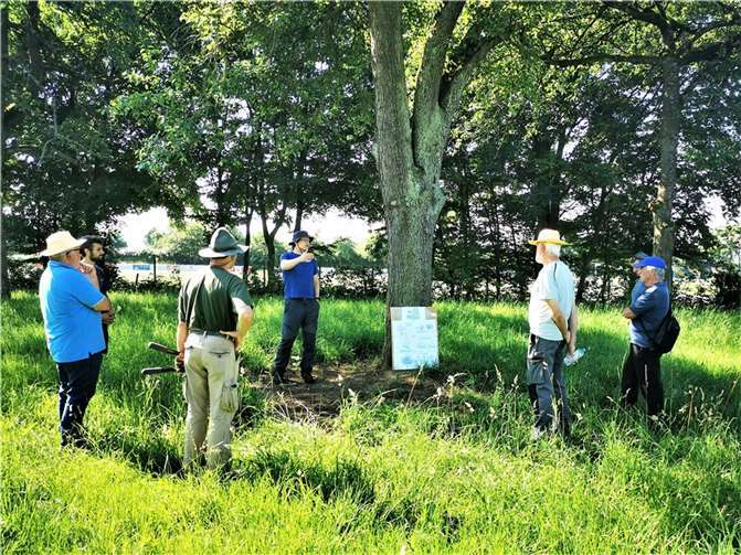 W.I.S.O. Baumschnittkurs im Sommer. Fotos: Weitersburger Initiative Streuobstwiesen (W.I.S.O.)