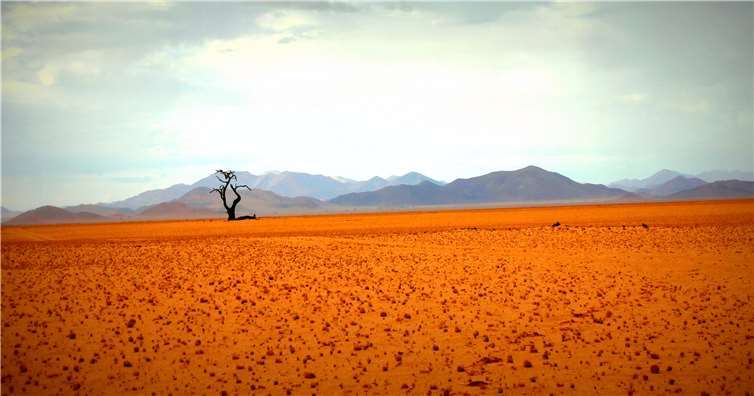 Während der Ausstellung sind u. a. diverse Landschaftsaufnahmen zu sehen. privat