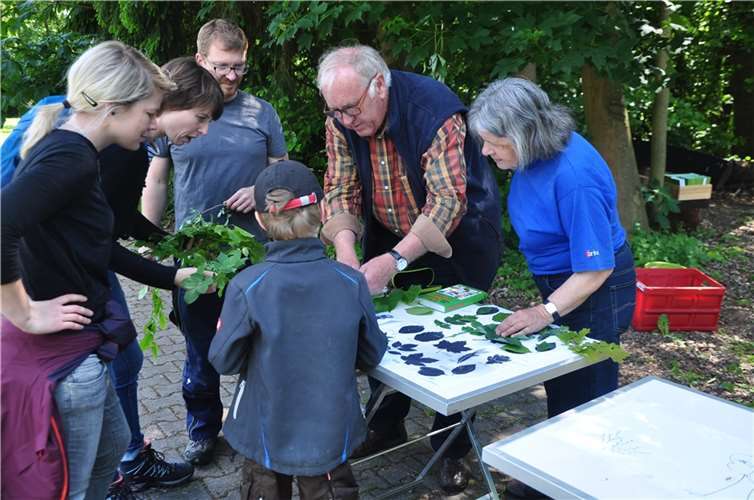 Während der NABU Veranstaltung Pflanzenkunde mit Peter Fasel.Foto: privat