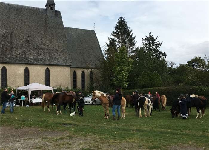 Während der Pferde- und Tiersegnung an der Schwanenkirche.Foto: privat