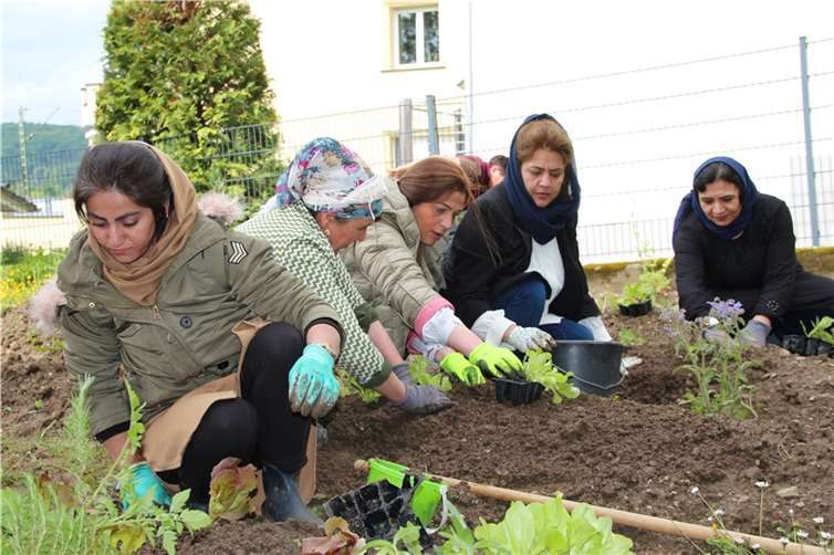Während der Pflanzarbeiten tauschten die Frauen sich über die Namen der einzelnen Pflanzen in verschiedenen Sprachen aus.