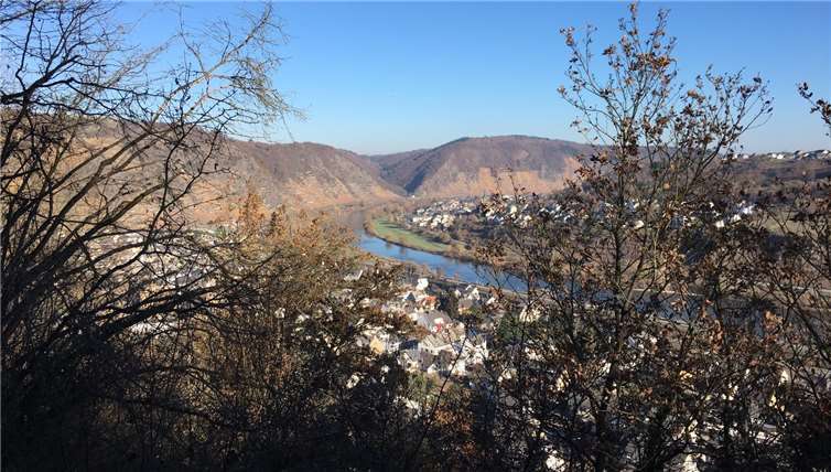 Während der Wanderung hatten die Teilnehmenden immer wieder die Gelegenheit, den schönen Ausblick zu genießen. privat