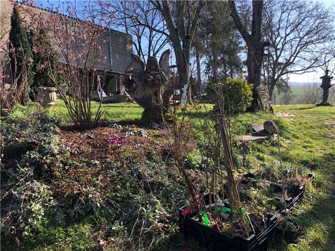 Während des Workshops auf dem Gartenschulungsgelände „Lebendige Gärten“ können die Teilnehmenden nicht nur theoretisches Wissen, sondern auch praktische Erfahrungen sammeln. Beispielsweise stehen verschiedene Stauden und Gehölze bereit, die von den Teilnehmenden gepflanzt werden können.  Foto: Regine Eckenroth