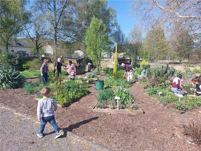 Während des monatlichen Treffs werden Tipps und Tricks rund um das Thema Garten und Pflanzen ausgetauscht.  Foto: Eva Sobotka