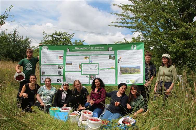 Während sich die Körbe und Bäuche mit den saftigen Früchten füllten, erfuhren die Teilnehmer, welche Bedeutung die Streuobstwiesen für die Biodiversität und Artenvielfalt haben.  Foto: Utamara