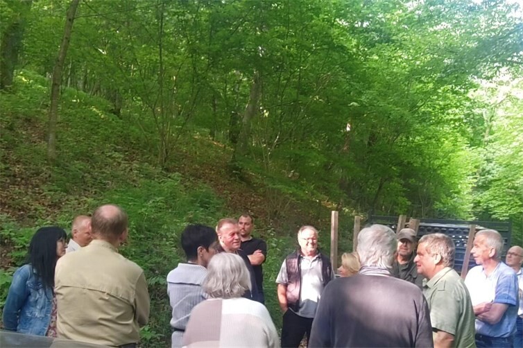 Wald im Mittelpunkt: Bei der Waldbegehung am 11. Juni 2025 machten sich Mitglieder des Stadtrates, Oberbürgermeister Dirk Meid, der damalige und der heutige Revierförster sowie zahlreiche interessierte Bürgerinnen und Bürger vor Ort ein Bild vom Mayener Stadtwald.