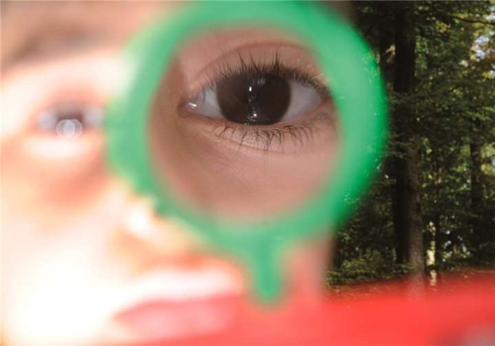 WaldEinblicke bietet einen Erlebnistag für die ganze Familie mit Themen rund um den Wald.