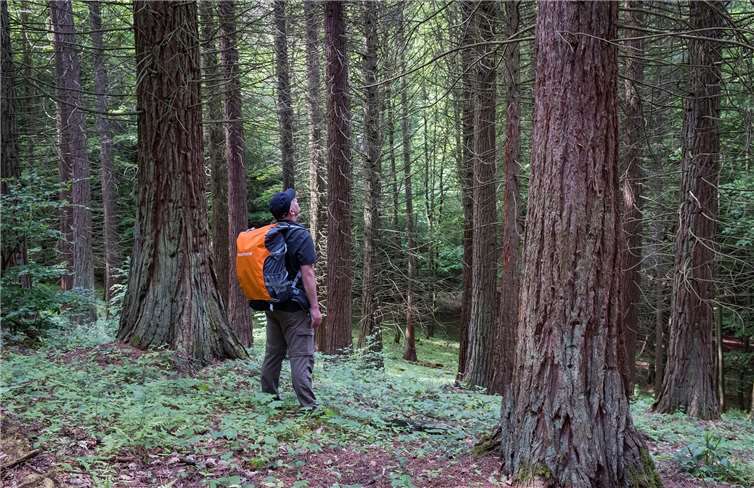 Waldbaden ist wieder möglich. Foto: Andreas Pacek / Touristik-Verband Wiedtal e.V.