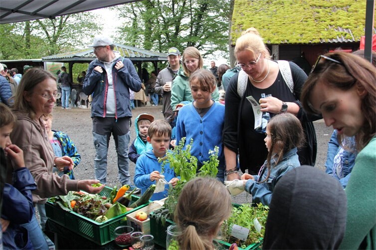 Walderlebnistagf im Kempenicher „Steinrausch“