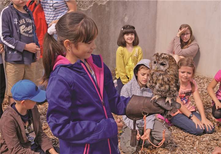 Waldkauz „Fritz“ stand im Mittelpunkt des Interesses.
