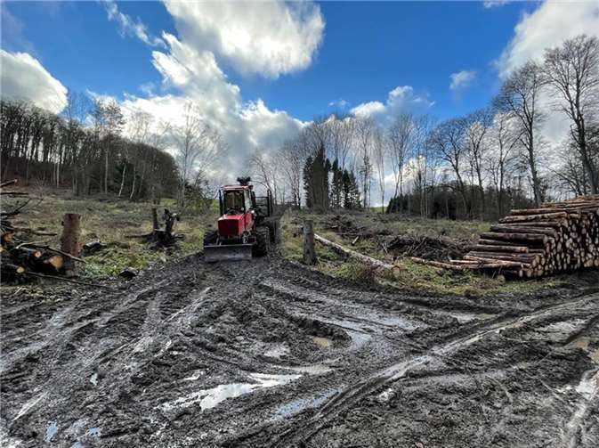 Waldschäden am Wanderweg „Rund um den Pfahlberg“.Quellen: Ortsgemeinde Caan