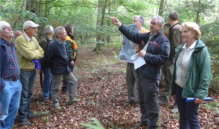 Waldumbau braucht Weitsicht. Foto: Kreiswaldbauverein Neuwied