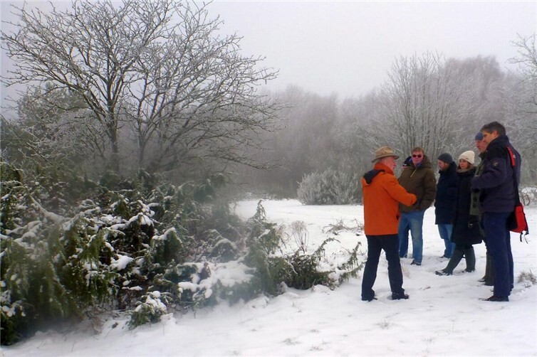 Walter Schmitz erläutert Maßnahmen an einem freigestellten Wacholdergebüsch. Foto: Winfried Sander, Leimbach
