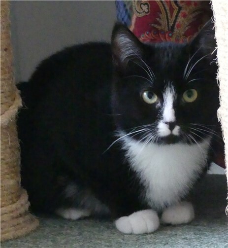 Wampie wurde im Sommer 2019 geboren.Foto: privat