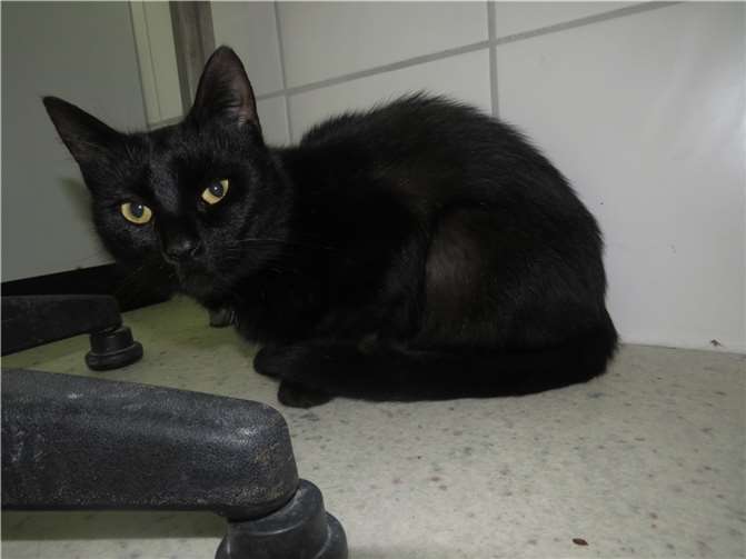 Wanda.  Fotos: privat