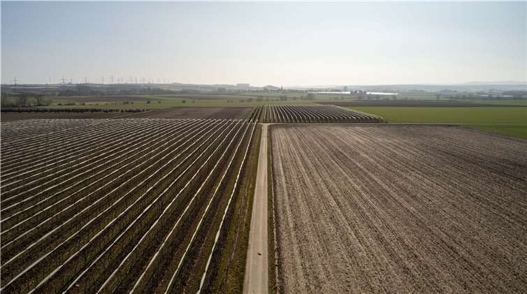 Wander finden weitläufige Felderund Plantagen entlang der Strecke..