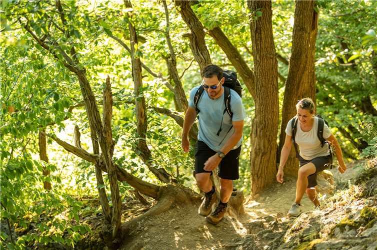 AhrSteig nach der Flut wieder durchgehend wanderbar Wanderer auf dem AhrSteig am Krausberg in Dernau. Foto: Dominik Ketz