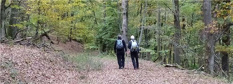 Wanderer im Herbstwald bei St. Aldegund. Foto: Martina Schauß