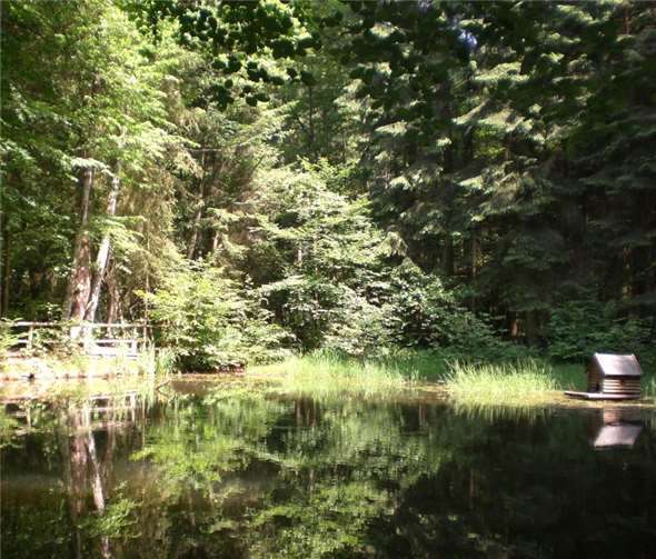 Wanderfreunde können sich auf tolle Naturerlebnisse freuen. Foto: privat