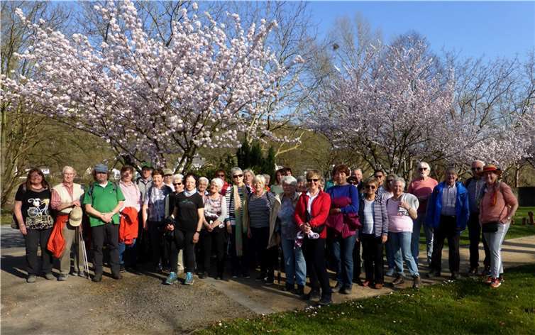 Ein Rundgang über die Rheininsel Niederwerth Wandergruppe des Eifelvereins Mayen auf der Rheininsel Niederwerth. Foto: Norgart Gudat