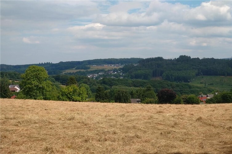Wandern am Feldrand mit Ausblick