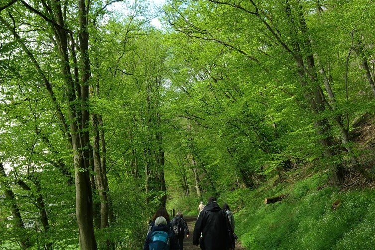 Wandern durch schönes Waldgebiet.
