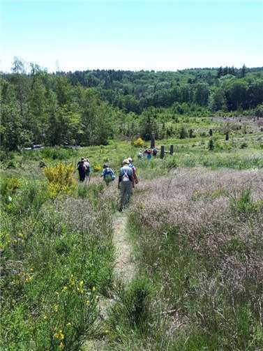 Wandern gehört auch zum Angebot.