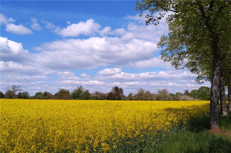 Wandern im Frühling