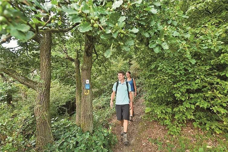Wandern macht bekanntlich zusammen am meisten Freude. Bad Breisig Tourismus- & Wirtschaftsförderungs GmbH
