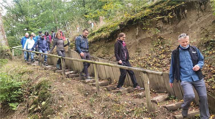 Wandern nach den Corona-Schutzbestimmungen im Kürrenberger Wald.Fotos: privat