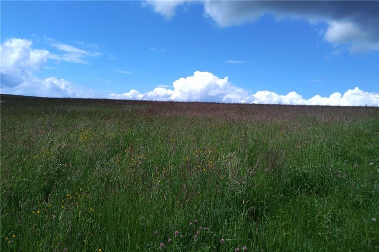 Wandern vorbei an Wiesen und Feldern