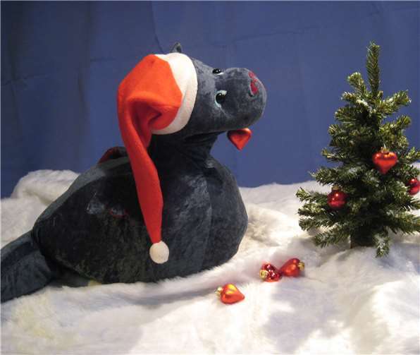 Warum futtert Otto Paulas Weihnachtsgeschenk auf? privat