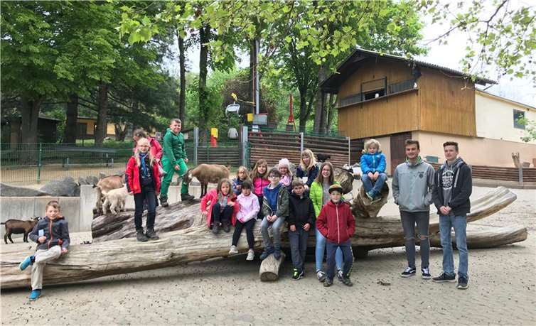 Was Ziegen brauchen und wie man mit ihnen richtig umgeht, erfuhren die Kinder im Rahmen der Osterferienfreizeit im Neuwieder Zoo. Foto: FBS Neuwied