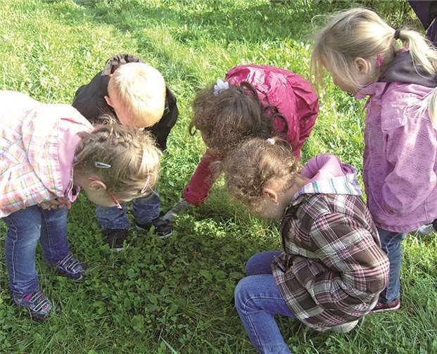 Was es da wohl Interessantes zu sehen gibt!