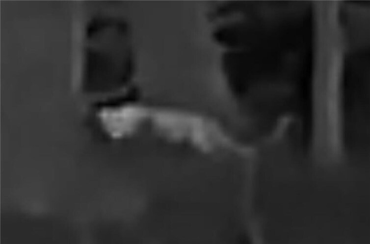 Was genau auf den Fotos zu sehen ist, ist bisher unklar. Foto: VG Altenahr