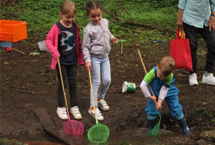 Was kann man im Bach so finden.