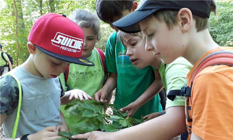 Was krabbelt denn da? Die Jungen und Mädchen waren mit Begeisterung bei den Waldjugendspielen dabei. 450 Kinder machten dieses Mal mit. -MT-